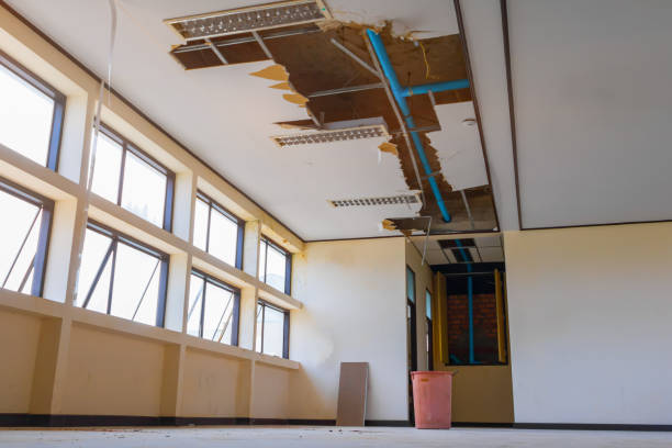 Water damage restoration mold remediation in Rose Hills, CA