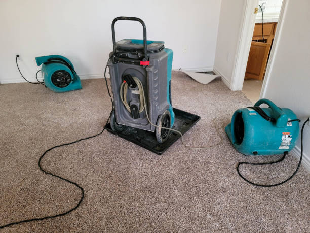 Best 24/7 water damage repair  in Rose Hills, CA