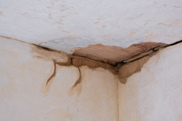 Professional Water damage restoration in Rose Hills, CA