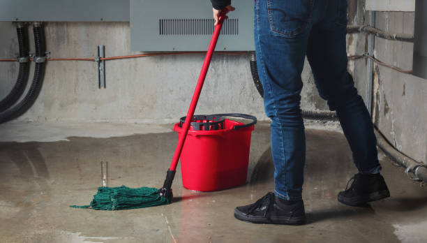 Best Local water damage restoration  in Rose Hills, CA