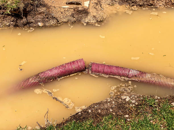 Best 24-hour water damage restoration  in Rose Hills, CA