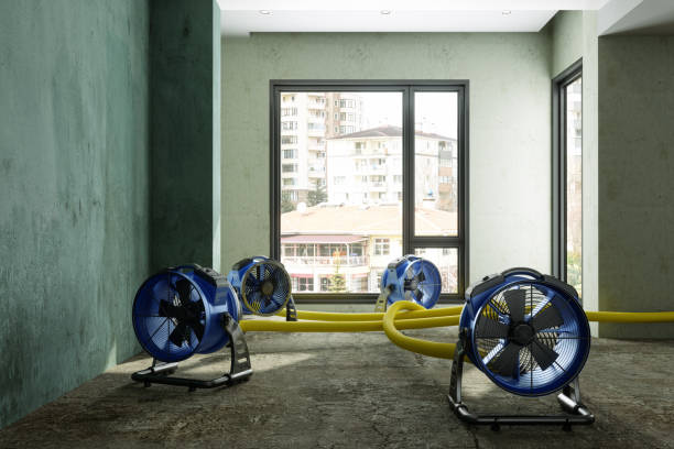 Best Flood damage cleanup  in Rose Hills, CA