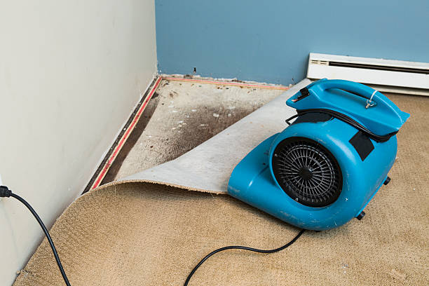 Best Local water damage restoration  in Rose Hills, CA